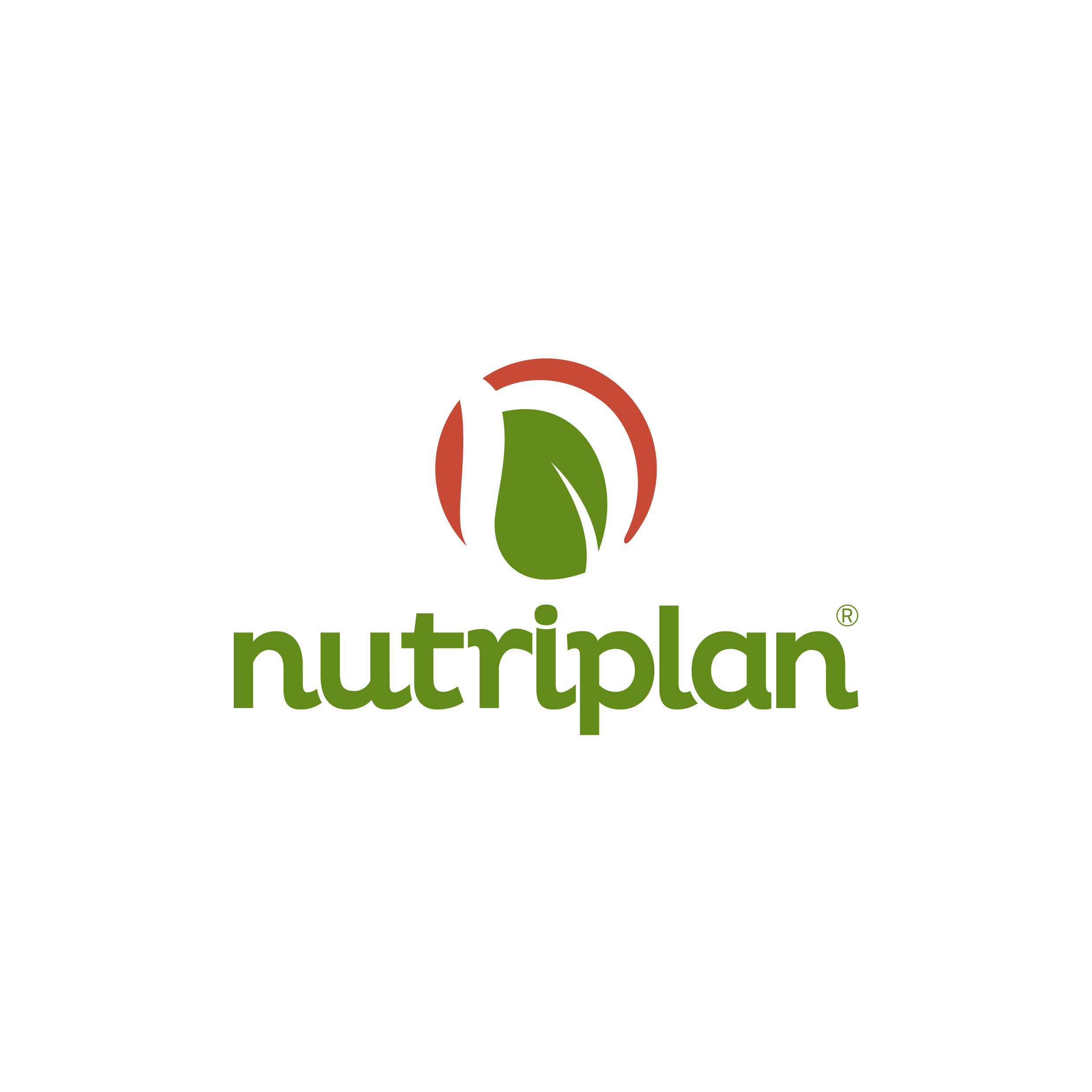 Logo Nutriplan (color)