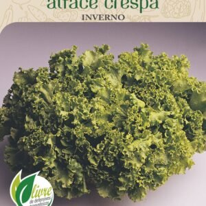 Sementes de Alface Crespa Inverno 700mg