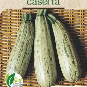 Sementes de Abobrínha Caserta 2,5g - Topseed Linha Tradicional