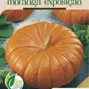 Sementes de Abóbora Moranga Exposição 2,5g - Topseed Linha Tradicional