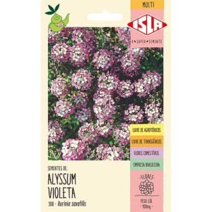 Sementes Alyssum Violeta 100mg