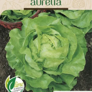 Sementes de Alface Aurélia (Manteiga) 700mg - Topseed Linha Tradicional