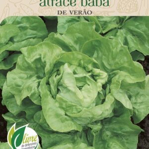Sementes de Alface Babá (Manteiga) 700mg - Topseed Linha Tradicional