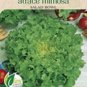 Sementes de Alface Mimosa Salad Bowl 700mg