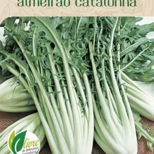 Sementes de Almeirão Catalonha 700mg
