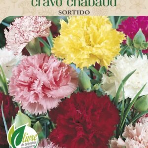 Sementes de Cravo Chabaud 100mg