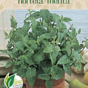 Sementes de Hortelã/Menta 30mg