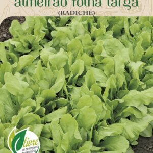 Sementes Almeirão Folha Larga 700mg