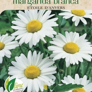 Sementes de Margarida Branca 300mg