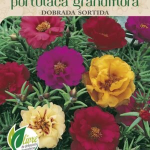 Sementes de Portulaca Grandiflora 80mg