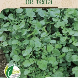 Sementes de Agrião de Terra 1g - Topseed Linha Tradicional