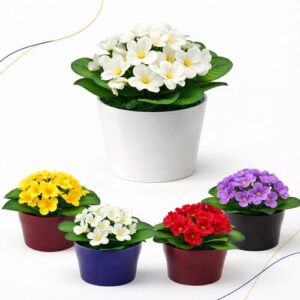 Vaso Plantio P13