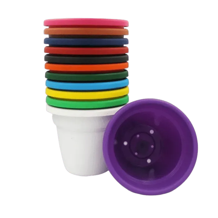 Vaso Desli Vicenza 13