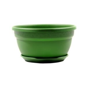 Vaso com Prato Desli Cuia 3