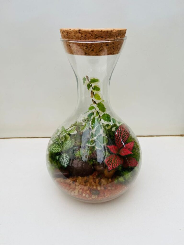 terrarios-vasos-decorativos-plantas-santo-andre