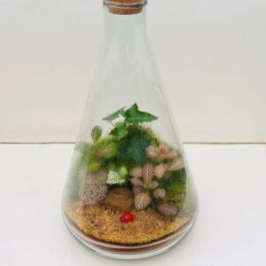Terrário no Vidro