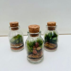 Terrário no Vidro