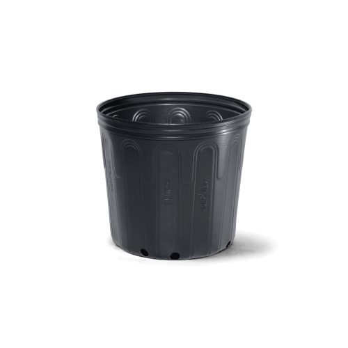 8L