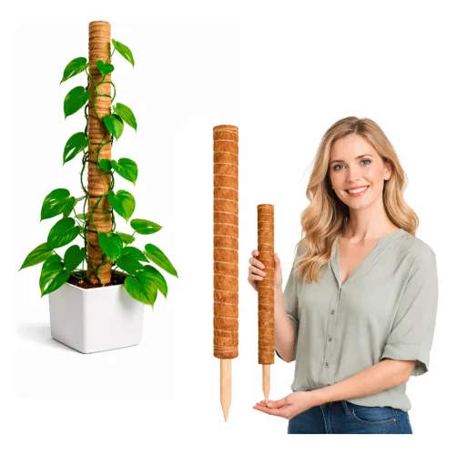 D_NQ_NP_2X_623815-MLB109386478005_032026-F-tutor-estaca-bastao-planta-trepadeira-fibra-coco-60cm