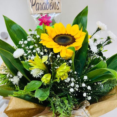 GIRASOL