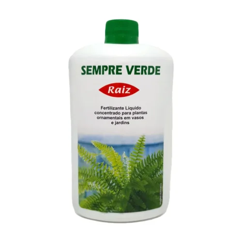 Sempre-Verde-Raiz