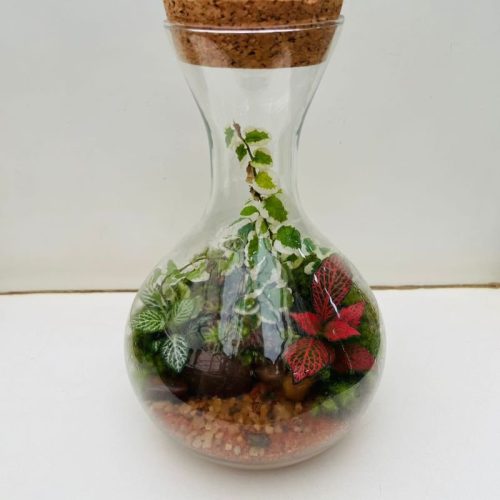 TERRARIO