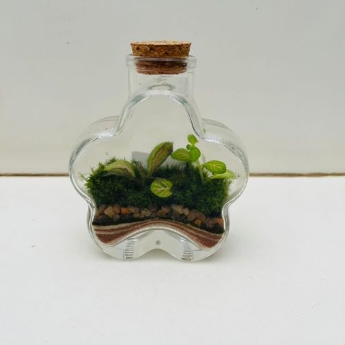 TERRARIO