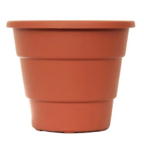 VASO-DESLI-28-ROMA
