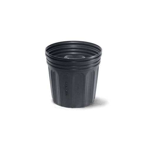 YYY