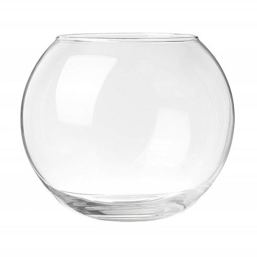 aquario