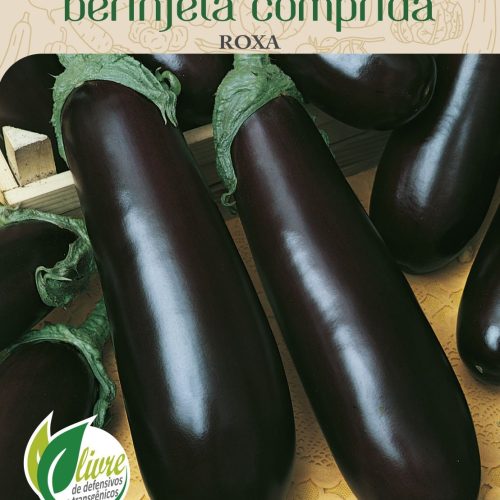 BERINJELA COMPRIDA ROXA - 2503.cdr