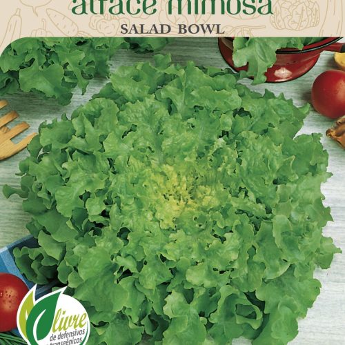 ALFACE MIMOSA SALAD BOWL - 835.cdr