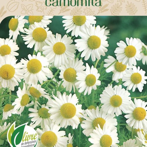CAMOMILA - 851.cdr