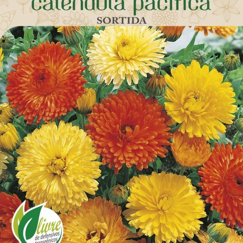 CALÊNDULA PACÍFICA SORTIDA - 6008.cdr