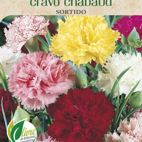 CRAVO CHABAUD SORTIDO - 6019.cdr