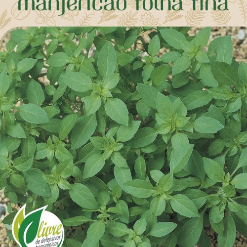 MANJERICÃO FOLHA FINA - 8023.cdr