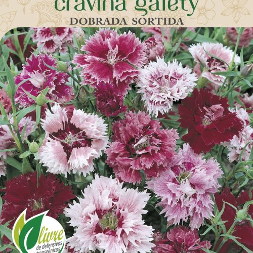 CRAVINA GAIETY DOBRADA SORTIDA - 6081.cdr