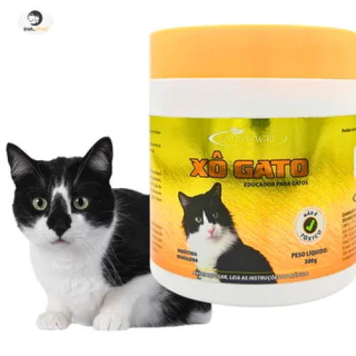 gato