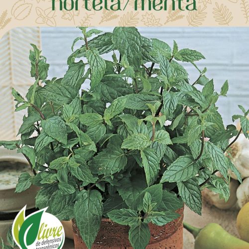 HORTELÃ MENTA 856.cdr