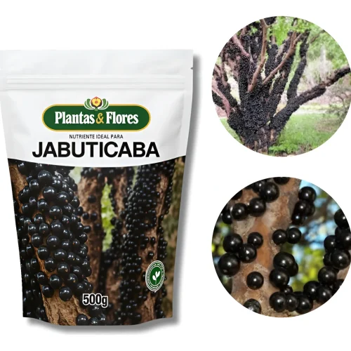 jabuti