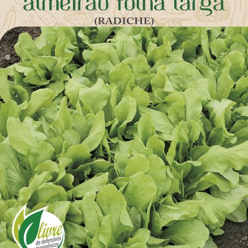 ALMEIRAO FOLHA LARGA RADICHE - 4043.cdr