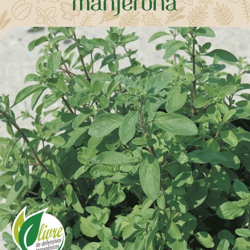 MANJERONA - 8019.cdr