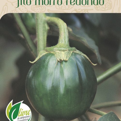 JILO MORRO REDONDO - 1717.cdr