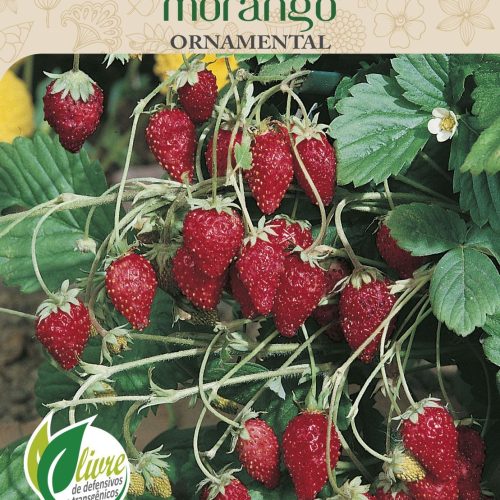 MORANGO ORNAMENTAL - 4121.cdr