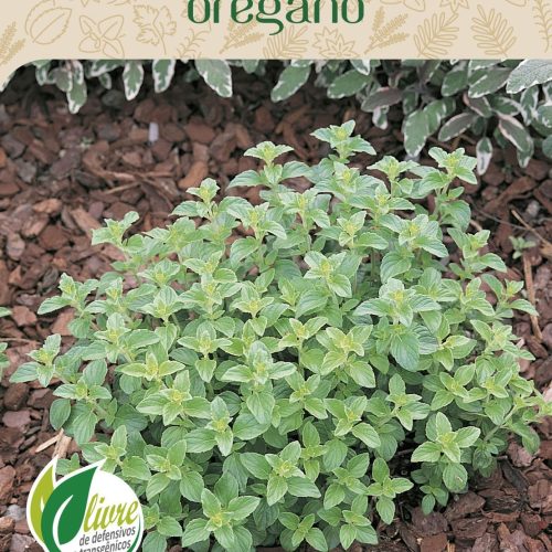 ORÉGANO - 2557.cdr