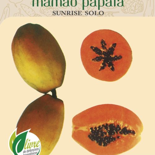 MAMAO SUNRISE SOLO - 1557.cdr
