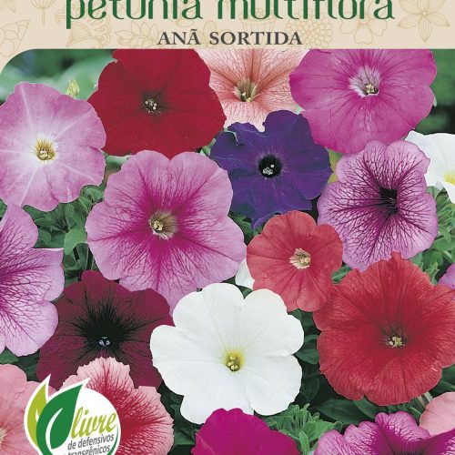 PETUNIA MULTIFLORA ANA SORTIDA - 6033.cdr