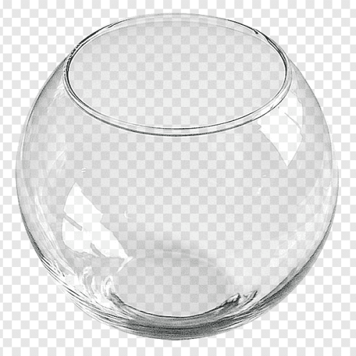 png-transparent-aquarium-fishkeeping-goldfish-ball-tetra-ball-glass-pet-sports