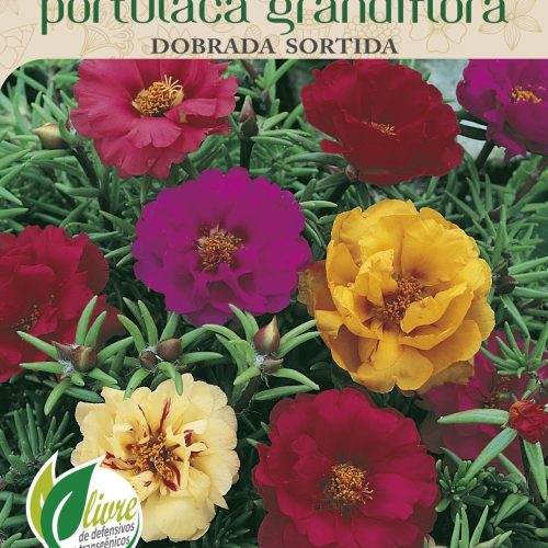 PORTULACA GRANDIFLORA DOBRADA SORTIDA - 6030.cdr