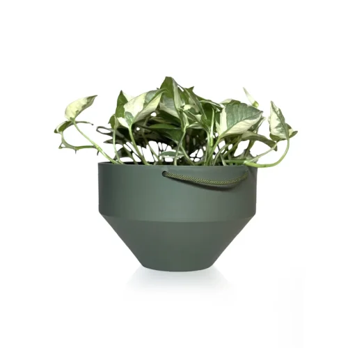 san-6-diamantado-com-plant-VERDE MILITAR
